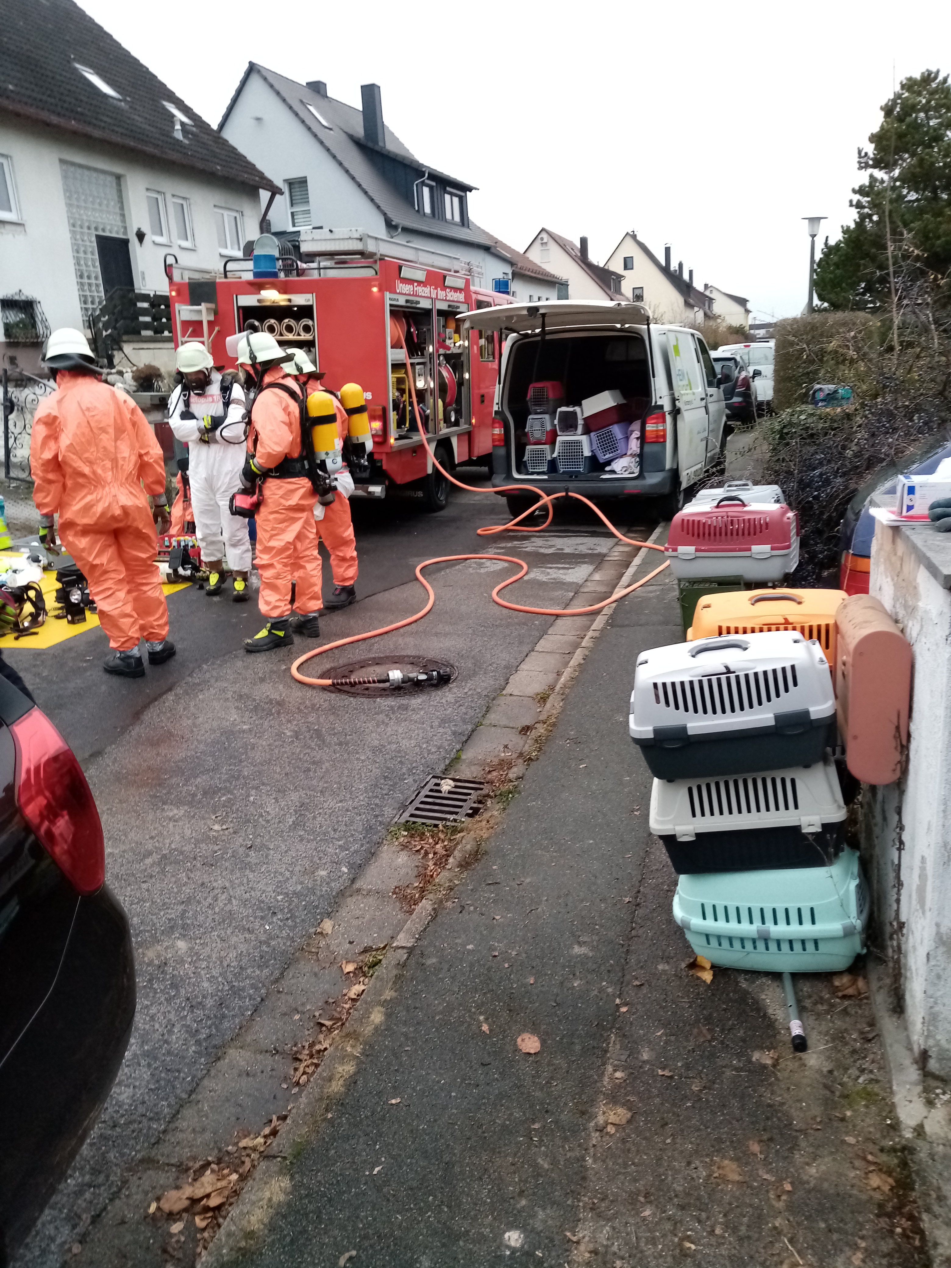 201123 AH Katzen TSV Feucht